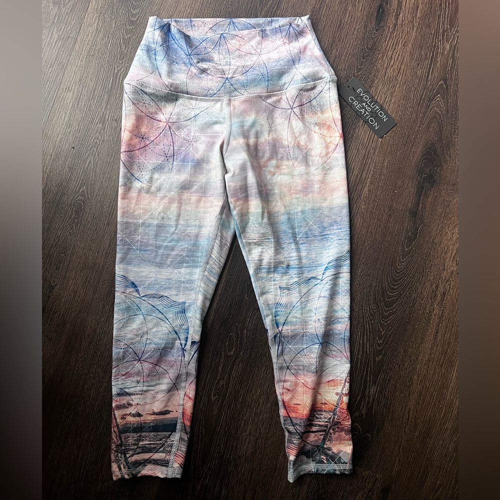 Evolution and Creation leggings/yoga pants